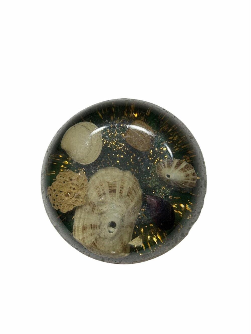Vintage Mid Century Seashell Resin Paper Weight